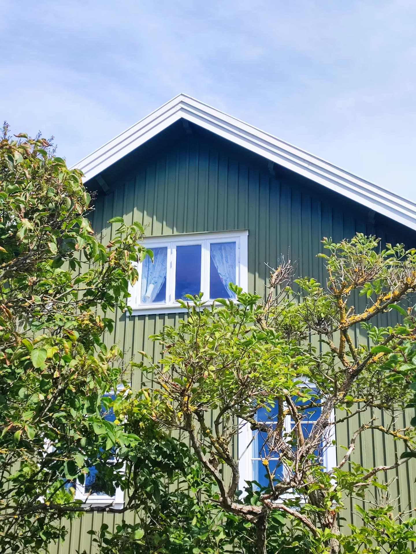 Grönt trähus med vita fönsterfoder